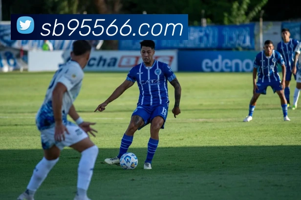 sunbet申博官网平台生态图